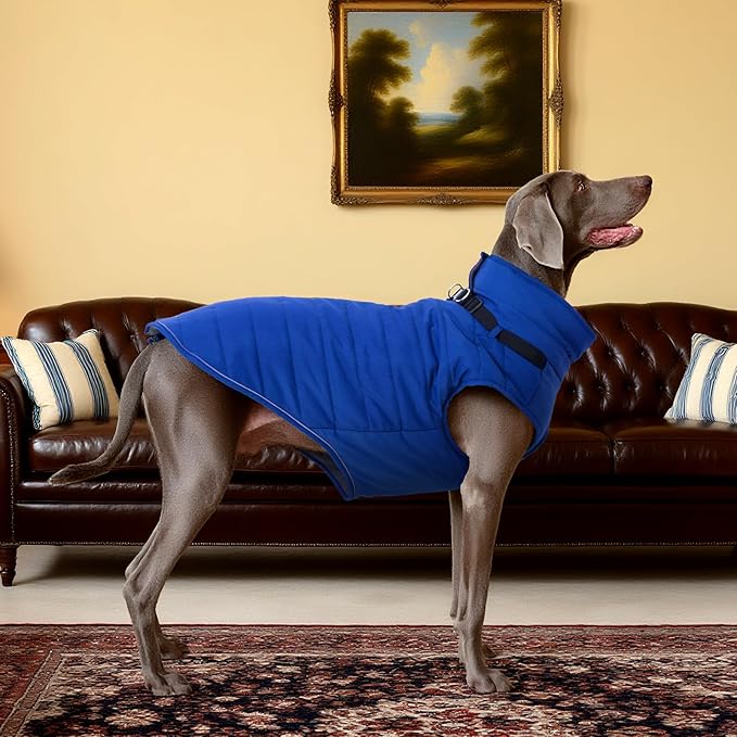 Kuoser Dog Jacket, Warm Dog Coat with Harness Built in for Small Dogs, Puppy Winter Jacket Pet Clothes for Cold Weather, Windproof Doggie Winter Vest for Chihuahua Yorkie, Blue XS