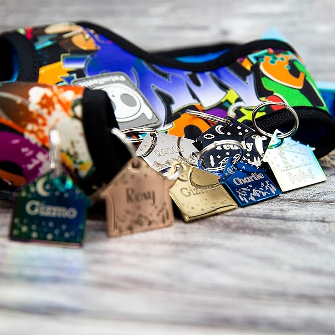 Personalized Dog Tag with 5 Lines of Custom Deep Engraved Durable Stainless Steel Pet ID Name Tag Designer Regular Size House