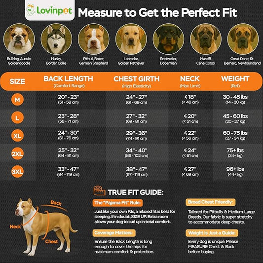 LovinPet Large Dog Christmas Pajamas - Christmas Outfit Xmas Holiday Costume for Dogs, Lightweight Pullover, A Gnome to FA La Navy Prints Large Dog PJ's Pitbull Clothes, L