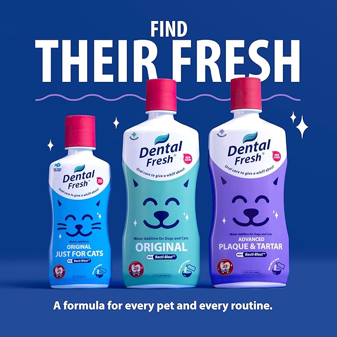 Dental Fresh Water Additive for Dogs and Cats, Advanced Formula, 8 Fl Oz, Plaque & Tartar Daily Oral Care