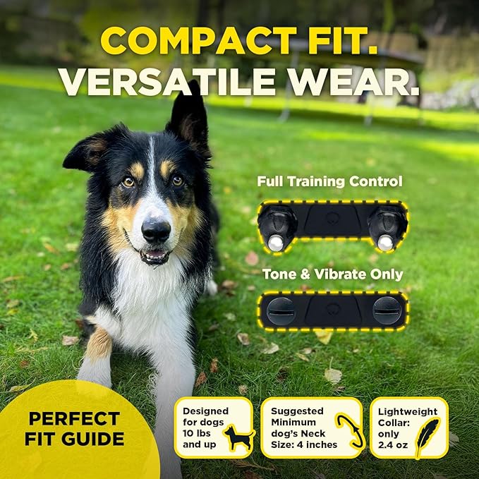 Dogtra 200iQ Remote Training E Collar – 100 Levels, Tone, Vibration, 1/2 Mile Range – Compact, Waterproof, One-Handed Control for Dogs 10 lbs+ – Lightweight Design for Daily Training – Modern Dots