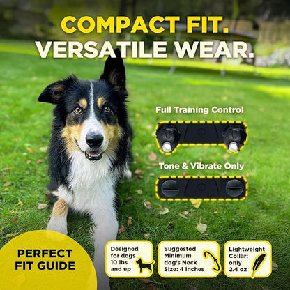 Dogtra 200iQ Remote Training E Collar – 100 Levels, Tone, Vibration, 1/2 Mile Range – Compact, Waterproof, One-Handed Control for Dogs 10 lbs+ – Lightweight Design for Daily Training – Cafe Swirl