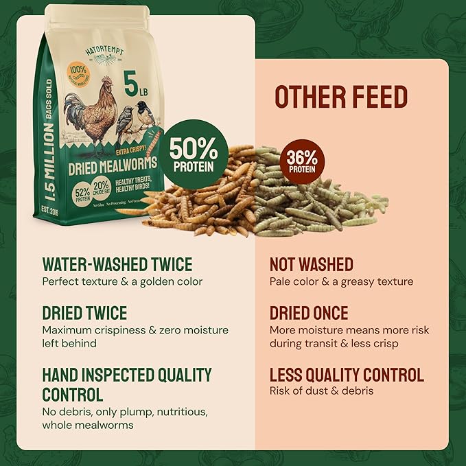 Hatortempt Dried Mealworms - Non-GMO & Organic - High-Protein Mealworms for Wild Bird Food, Ducks & Chickens (5lb)
