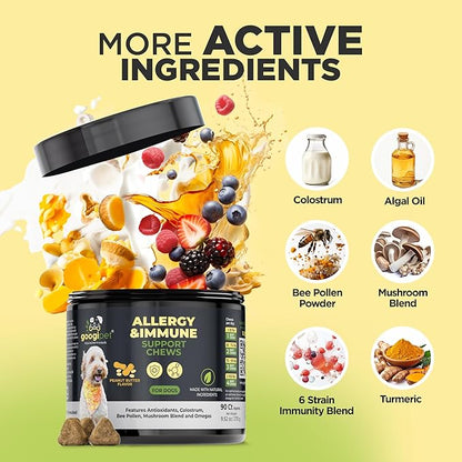 Googipet Dog Allergy Chews, Seasonal Dog Allergy Relief & Itchy Skin Relief, Skin & Coat Supplement +Bee Pollen, Colostrum, Coconut Oil, Probiotics, & Omega 3 Fish Oil for Dogs (Peanut Butter Flavor)
