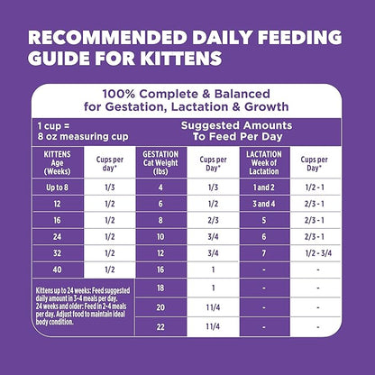 IAMS Proactive Health Healthy Kitten Dry Cat Food with Chicken, 3.5 lb. Bag