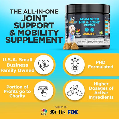 Googipet Premium Hip and Joint Supplement for Dogs - Glucosamine Soft Chews w/Green Lipped Mussels for Dogs, Dog Joint Supplement Turmeric for Mobility, Ages, & Breeds