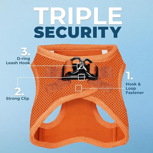 Voyager Step-in Air All Weather Mesh Harness and Reflective Dog 5 ft Leash Combo with Neoprene Handle, for Small, Medium and Large Breed Puppies by Best Pet Supplies - Set (Orange), XL