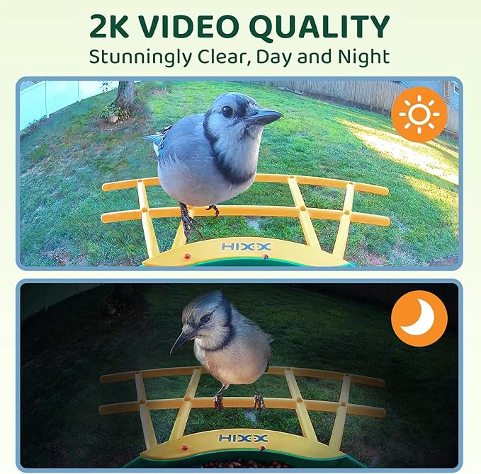 HIXX Smart Bird Feeder with Camera, AI Identify Birds & Auto Capture, 2K HD Live Camera Birdwatching with Color Night Vision for Bird Lovers Gifts Include Magnetic Toy