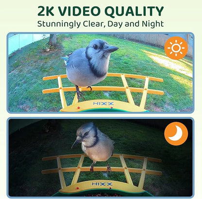 HIXX Smart Bird Feeder with Camera, AI Identify Birds & Auto Capture, 2K HD Live Camera Birdwatching with Color Night Vision for Bird Lovers Gifts Include Magnetic Toy
