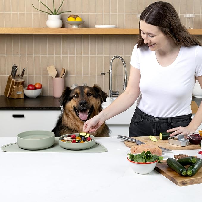 Should We Go? Complete Pet Feeding Set: Slow Feeder & Water Bowl with Spill-Proof Silicone Mat - Ideal for Small to Medium Dogs, Non-Slip, Easy Clean, Raised Edges, Durable Silicone - Blush
