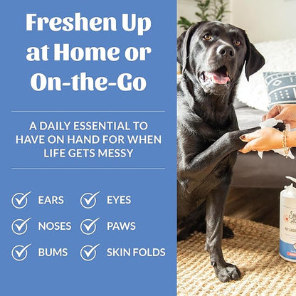 SKOUT'S HONOR Pet Grooming Wipes for Dogs and Cats - Deodorizing, Plant-Based, Biodegradable, Fragrance-Free - for Paws, Faces, Skin Folds & Bums, 80 Count