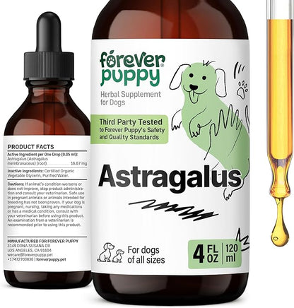 Forever Puppy Astragalus Root Drops for Dogs - Astragalus Membranaceus Extract for Dogs' Immune Support - Herbal Pet Liquid Supplements for Immunity & Joyful Pet Care - 4 oz