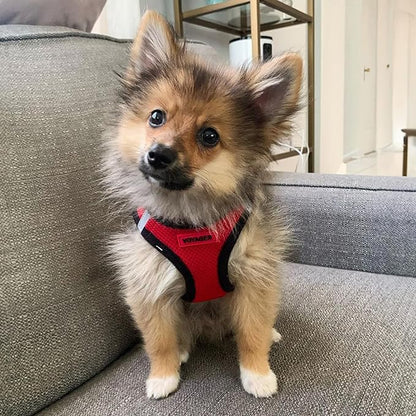 Voyager Step-in Air All Weather Mesh Harness and Reflective Dog 5 ft Leash Combo with Neoprene Handle, for Small, Medium and Large Breed Puppies by Best Pet Supplies - Red/Black Trim, Small