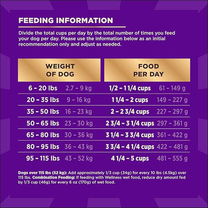 Wellness CORE+ Dry Dog Food with Freeze Dried Pieces, Wholesome Grains, High Protein, Natural, Beef & Barley Recipe, (18-Pound Bag)