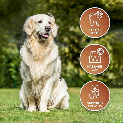 Wildfang® Leather Dog Toy, Large - Leather Bone for Teething Dog, Dental Toys for Puppies, Training for Chewing Muscles, Puppy Chew Bones for Light or Medium Chewers (for Dogs Over 33 lbs), Pack of 1