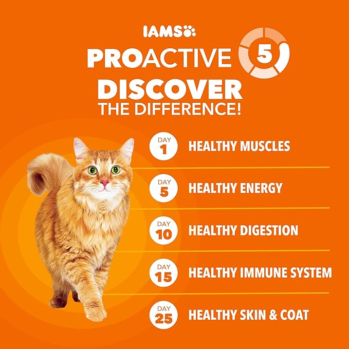 IAMS Proactive Health Adult Healthy Dry Cat Food with Real Salmon, 7 lb. Bag