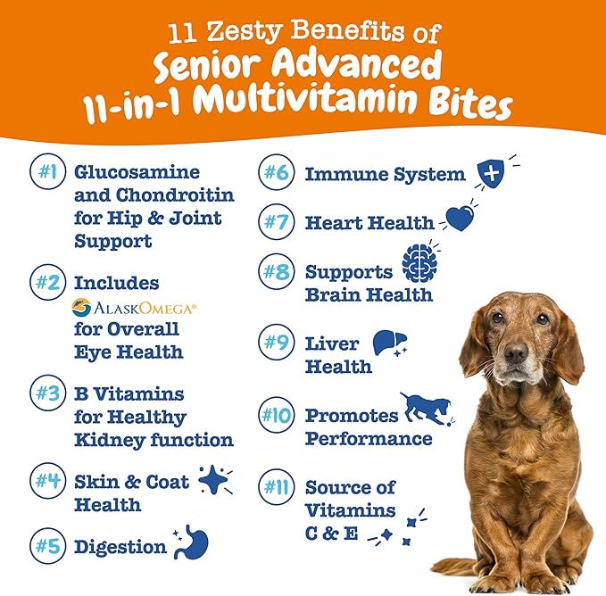 Zesty Paws Senior Dog Multivitamin Treats - Glucosamine for Dogs + Digestive Enzymes & Probiotics - Grain Free Dog Vitamins and Supplements for Skin & Coat + Immune Health Chicken - Advanced - 60ct