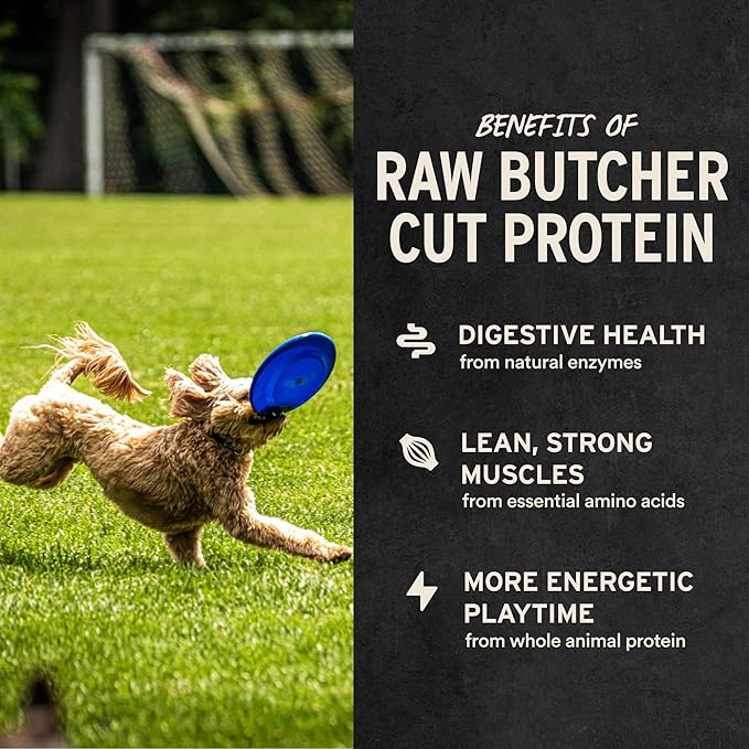 Vital Essentials Single Ingredient Beef Liver Dog Treats, 2.1 oz | Freeze-Dried Raw | Premium Quality High Protein Training Treats | Grain Free, Gluten Free, Filler Free