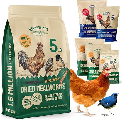 Hatortempt Dried Mealworms - Non-GMO & Organic - High-Protein Mealworms for Wild Bird Food, Ducks & Chickens (5lb)