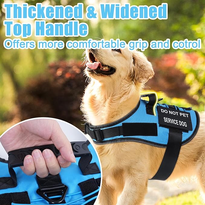 No Pull Dog Harness Small Medium Sized Dog, Service Dog Harness and Leash Set with 4 Patches, Adjustable Easy Walk Dogs Harnesses with Handle, Dogs Vest Harnesses French Bulldog, Chihuahua(Blue, M)