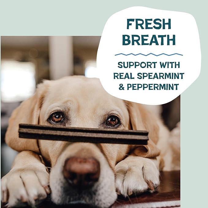 Shameless Pets Triple Mint Dental Chews for Dogs, 8 Chews - Natural Dog Teeth Cleaning Treats with Fresh Breath Benefits | Grain-Free Dental Sticks for Small, Medium & Large Dogs
