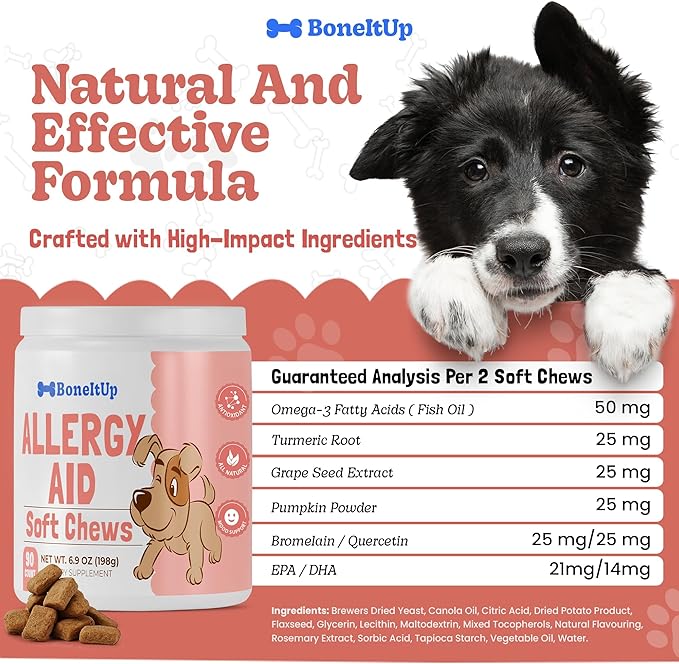 BoneItUp Soft Dog Allergy Chews for Itching, Sneezing, Paw Licking, Seasonal Allergies - Essential Omega-3, Turmeric & Quercetin for Dogs Allergies - Daily Immune & Digestive Dog Allergy Treats (90ct)