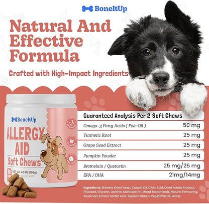 BoneItUp Soft Dog Allergy Chews for Itching, Sneezing, Paw Licking, Seasonal Allergies - Essential Omega-3, Turmeric & Quercetin for Dogs Allergies - Daily Immune & Digestive Dog Allergy Treats (90ct)