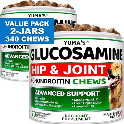 (2 Pack) Glucosamine for Dogs - Hip and Joint Supplement for Dogs - Glucosamine Chondroitin Chews - Joint Pain Relief Supplement with MSM - Advanced Health - Mobility Support - Made in USA