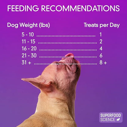 Organic Dog Treats for Small, Medium & Large Dogs – All-Natural Turkey Training Treats for Puppies & Adult Dogs, Grain-Free, Hypoallergenic, Healthy, Low-Calorie, Semi-Soft Chews, Made in USA, 5 oz