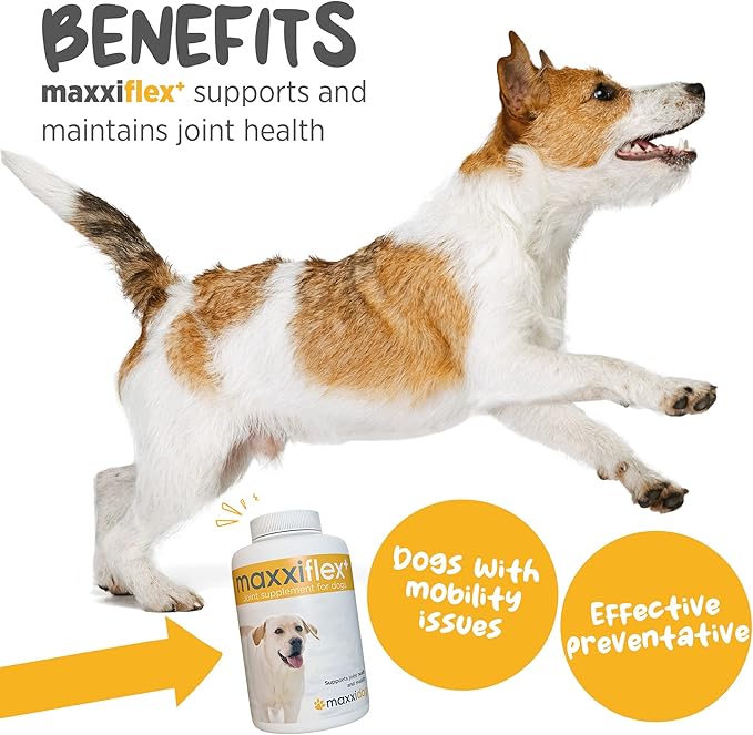 maxxipaws - maxxiflex+ Hip & Joint Supplement for Dogs with Glucosamine, Chondroitin, MSM & Collagen | Mobility, Flexibility & Discomfort Support | Senior, Adult & All Breeds | 120 Tablets