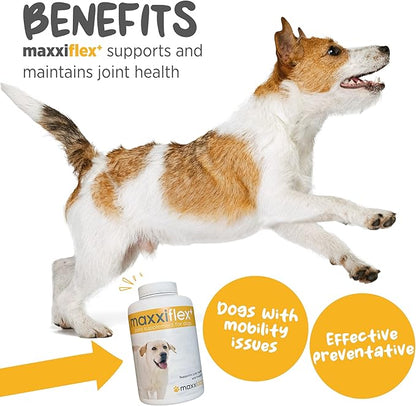 maxxipaws - maxxiflex+ Hip & Joint Supplement for Dogs with Glucosamine, Chondroitin, MSM & Collagen | Mobility, Flexibility & Discomfort Support | Senior, Adult & All Breeds | 120 Tablets