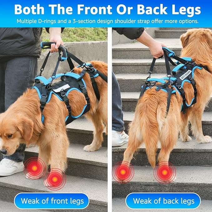 Dog Lift Harness for Medium Male Dogs Friendly, 2 in 1 Detachable Support Harness, Full Body Dog Carrying with 4 Handles for Old/Disabled/Joint Injuries Dogs (Black, Medium)