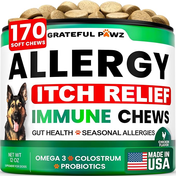 Dog Allergy Relief Chews - Dog Itching Skin Relief Treatment - 170 Chews - Anti-Itch, Hot Spots, Paw Licking - Immune Health - Omega 3 Fish Oil - Dry Itchy Skin and Coat Supplement - Made in USA