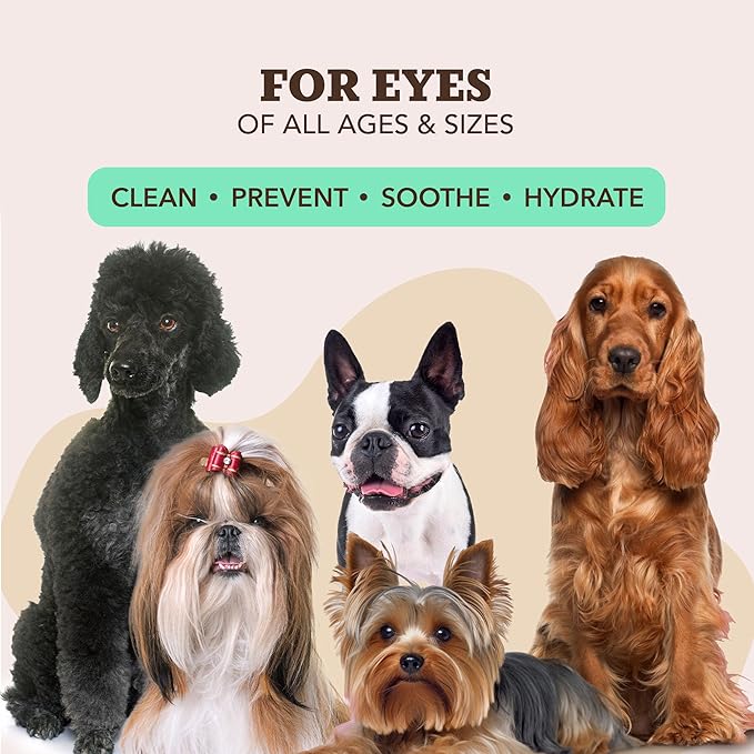 Natural Dog Company XL Grooming Wipes for Dogs – Hypoallergenic, Biodegradable, Fragrance Free – Aloe Vera & Witch Hazel – Large 7×8 in Wipes for Paws, Face, Ears & Butt – 200 Count Sensitive Skin