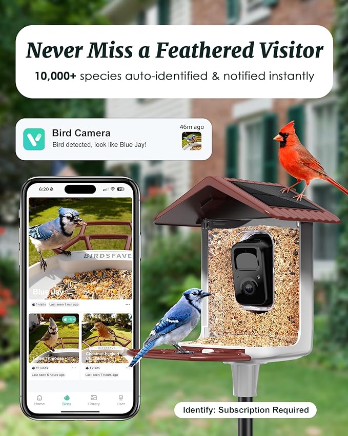 BIRDSFAVE-Bird Feeder with Camera Solar Powered, 2K Clear Live/Video/Photo Auto Arrival Alerts AI Identify Smart Cameras Birds Feeders with 32GB Card DIY Add-ons, 2.4G WiFi Wireless Birdwatching Gift