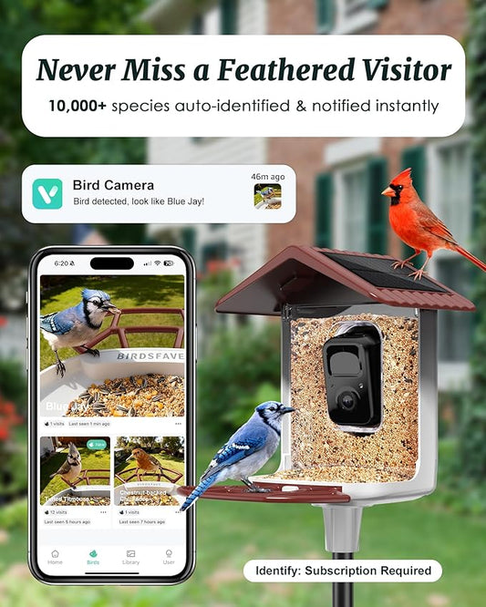 BIRDSFAVE-Bird Feeder with Camera Solar Powered, 2K Clear Live/Video/Photo Auto Arrival Alerts AI Identify Smart Cameras Birds Feeders with 32GB Card DIY Add-ons, 2.4G WiFi Wireless Birdwatching Gift