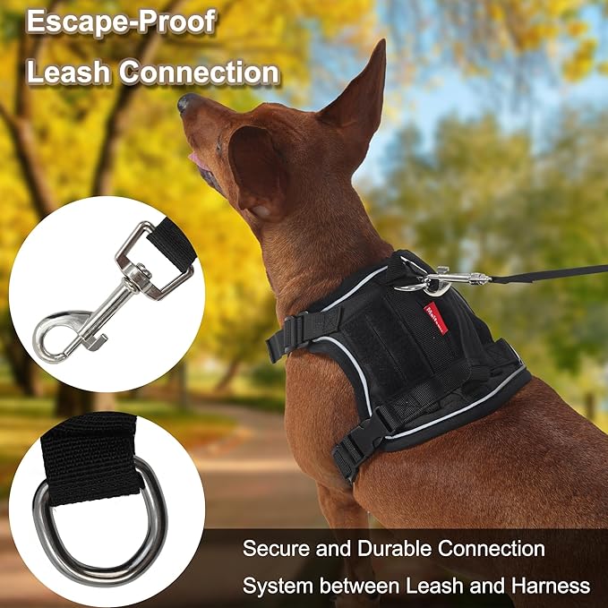 Dog Harness and Leash Set, Small Sized No Pull Pet Harness with Control Handle, Adjustable Tactical Harness for Small Medium Dogs Cats, Reflective Puppy Harness for Walking Hiking Training
