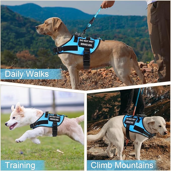 No Pull Dog Harness Small Medium Sized Dog, Service Dog Harness and Leash Set with 4 Patches, Adjustable Easy Walk Dogs Harnesses with Handle, Dogs Vest Harnesses French Bulldog, Chihuahua(Blue, M)