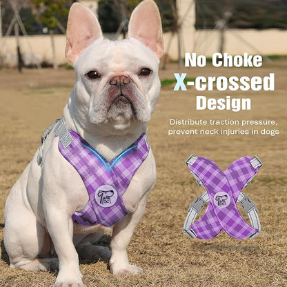 Pawaboo Small Dog Harness and Leash Set, Puppy Harness X-Frame No Pull No Choke, Dog Vest Harness Adjustable for Small Medium Sized Dogs,Soft Breathable Pet Harness for Walking Outing, L, Purple Plaid