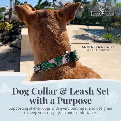 Lucky Love Dog, Tropical Matching Dog Collar & Leash Set, Soft & Comfy, Vivid Pink Color Collar and Leash for Female Male Dogs - (Large, Laguna Combo)