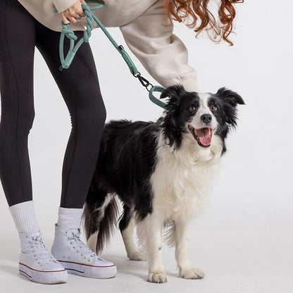 2025 New Edition, Fei & Eve Hand-Braided Dog Leash, 4FT | SP Cotton Material | Heavy Duty Training | Comfort Grip Handle for Small/Medium/Large Dogs, Green