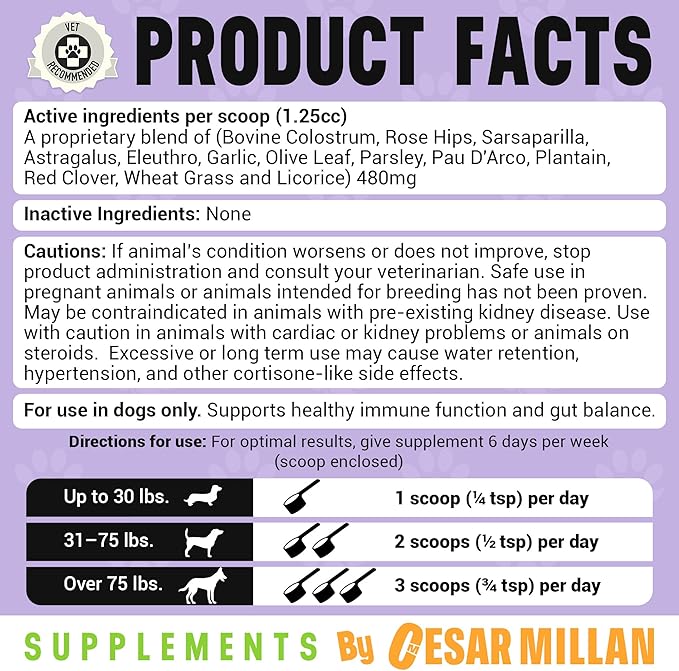 Cesar Millan Better Dog Immune Support for Puppies Powder - Puppy Defense for Pups’ Immunity, Dog Digestive Support & Gut Supplements for Dogs with Herbal Ingredients - 4 oz, 60-Day Average Supply