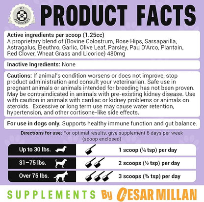 Cesar Millan Better Dog Immune Support for Puppies Powder - Puppy Defense for Pups’ Immunity, Dog Digestive Support & Gut Supplements for Dogs with Herbal Ingredients - 4 oz, 60-Day Average Supply