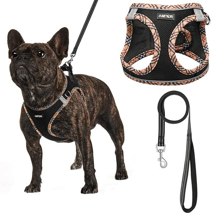 AMTOR Small Dog Harness with Leash Set, No Escape Easy Walk Puppy Harnesses for Training Walking, Step-in Reflective Soft Dogs Vest for XS S Medium Extra-Small Large Sized Dog(BlackYellow,XS)