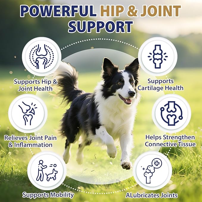 Hip and Joint Supplement for Dogs 200 Hemp Dog Calming Chews with Glucosamine, Chondroitin, Msm, Omega3, Melatonin for Senior Dogs Anxiety Pain Relief Anti Inflammatory Small/Medium/Large Dog -Chicken