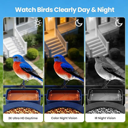 Smart Bird Feeder with Camera Solar Powered : 2K HD Live Video, AI Bi rd Identification ＆ Instant Alerts, 2.4GHz WiFi Solar Camera Bird Feeders for Outdoors - Ideal Gifts for Mom Dad Birdlovers