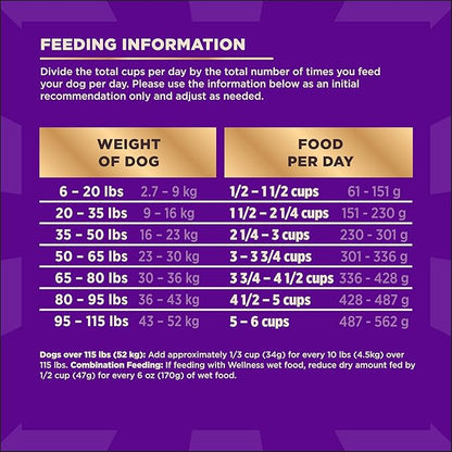 Wellness CORE+ Sensitive Skin & Stomach Dry Dog Food with Freeze Dried Pieces, Wholesome Grains, High Protein, Natural, Salmon & Rice Recipe, (4-Pound Bag)