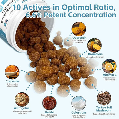 Quercetin for Dogs with Bromelain - Dog Allergy & Itch Relief Chews, Balanced Immune System – Skin & Ear Soothing Support for Yeast Infection, Hot Spots & Seasonal Allergies - 120 Treats