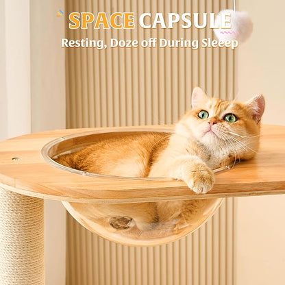 HITTITE Solid Wood Cat Tree Tower with Scratching Post, 53 Inches Tall Cat Towers with Scratching Board and Scratcher Ball, Modern Cat Tower with Space Capsule and Removable Top Bed for Indoor Cats