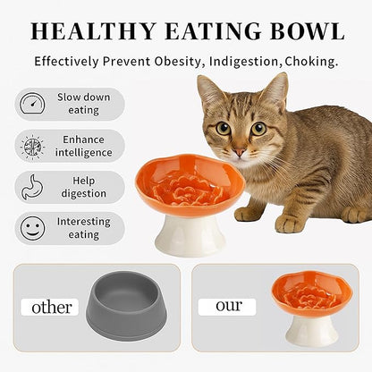 Ceramic Slow Feeder Bowl for Cats and Small Dogs, Elevated Tilted Pet Food Dish, Whisker Friendly Anti-Vomit Design, Heavy Stable Base, Dishwasher Safe， 5 Colors Options (Tangerine Orange)